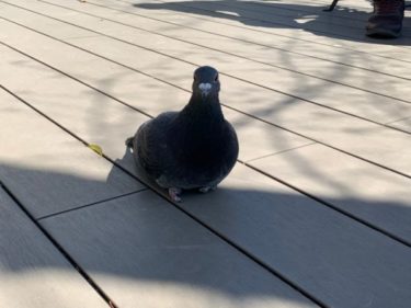 【池袋】2020年4月臨時休業情報まとめ