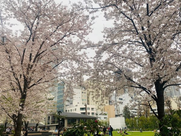 池袋でお花見 桜を見るならココ 池袋民が教える定番 穴場スポット 池ぶく郎