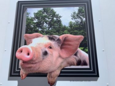 池袋と大塚を繋ぐ西巣鴨橋に『無料トリックアート』が出現！混雑ゼロの超穴場