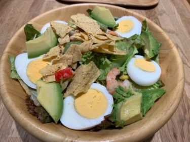 サラダなのに満足感がすごい『Saladish（サラディッシュ）』のサラダボウルはマジでオススメ